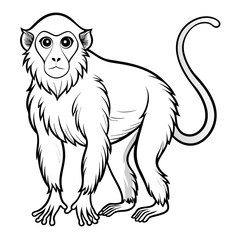 Monkey illustration standing on ground with black outline style