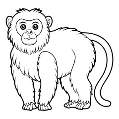 Cartoon monkey outline illustration for coloring and educational purposes