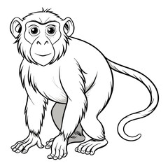 Detailed monkey illustration featuring defined lines and simple shading