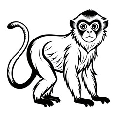 Stylized monkey illustration in black and white vector format