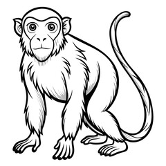 Monochrome vector illustration of a seated monkey with tail
