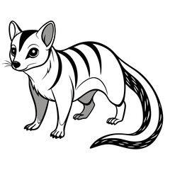 Cartoon quoll illustration featuring black stripes and simple design