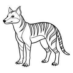 Tasmanian Tiger Illustration in Black and White Line Art