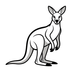 Standing kangaroo illustration on white background cartoon graphic style
