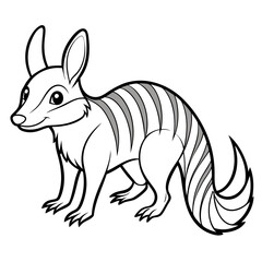 Cartoon Numbat Vector Illustration with Stripes and Detailed Lines