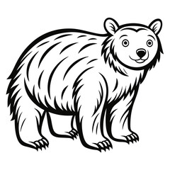 Cute Cartoon Bear Vector Illustration on White Background