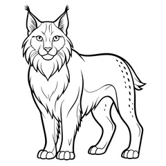 Detailed line art illustration of a standing lynx animal