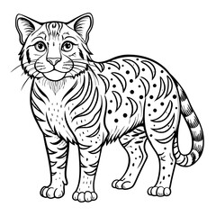 Illustrated cat with unique patterns and bold lines