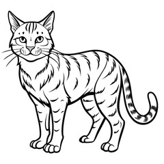 Stylized Line Art Illustration of a Striped Cat Standing