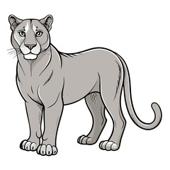 Stylized Mountain Lion Illustration Standing on White Background