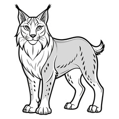 Lynx illustration standing tall with confident pose artwork