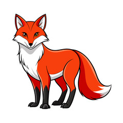 Cartoon fox standing isolated on a white background image