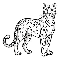 Leopard illustration standing tall with watchful gaze forward graphic