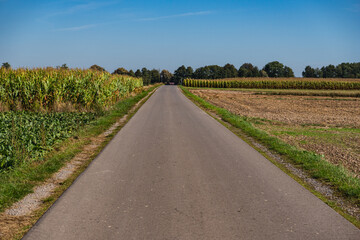 A rarely used asphalt road between fields