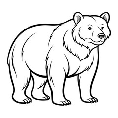 Cartoon Bear Outline Standing Posing Facing Right Illustration