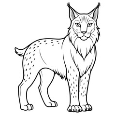 Line art illustration of a standing lynx with spots