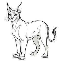 Stylized Caracal Line Art, Wild Cat Illustration on White