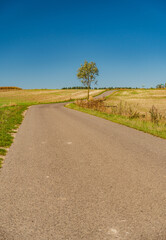 A rarely used asphalt road between fields