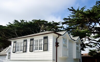 White Carmel house with black shutters and Monterey cypress trees in California.
