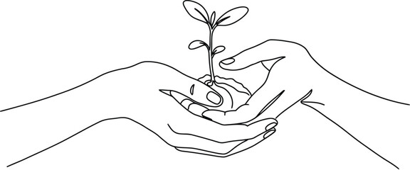 Delicate hands holding emerging sprout symbolizing growth renewal and environmental consciousness