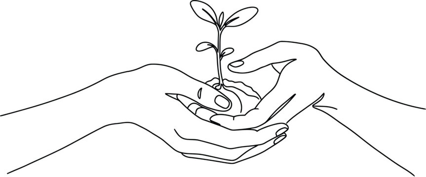 Delicate hands holding emerging sprout symbolizing growth renewal and environmental consciousness