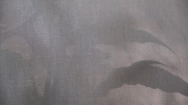 Window moving shadows on light gray background with casting floral shadows, a gentle breeze flowed through the window. Minimal vintage interior decoration concept. Autumn wabi sabi style aesthetics