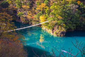 Autumn scenery of the Dream Suspension Bridge in Sumata Gorge, Shizuoka Prefecture