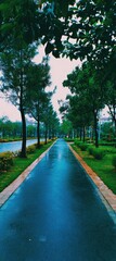 A paved walkway winds through a park, lined with lush trees, on a rainy day.