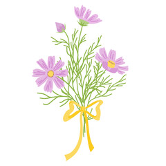 Vector colorful illustration of bouquet of cosmos flowers with bow on white background. Perfect for greeting cards, invitations, autumn and summer designs.