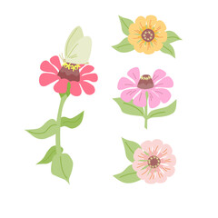 Set of vector clipart of colorful zinnia flowers with butterfly on white background. Perfect for greeting cards, invitations, autumn and summer designs.