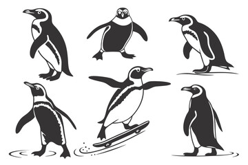 Obraz premium Penguin vector illustration set of antarctic birds in different poses and skateboarding penguin design silhouette