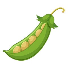 Illustration of fresh green peas in a pod healthy eating vegetarian food vegetable garden harvest