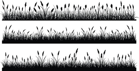Grass silhouette cad drawing flat vector illustration, three horizontal rows of assorted blades and plants, front view natural border layout
