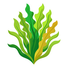 Illustration of green and yellow seaweed kelp ocean plants for graphic design and decoration use