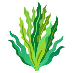 Seaweed kelp vector illustration green algae aquatic plant underwater ocean marine life design element graphic art