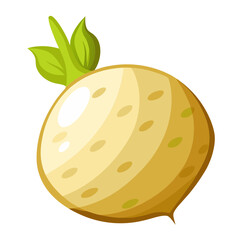 Illustration of fresh turnip vegetable with green leaves healthy food root crop drawing art