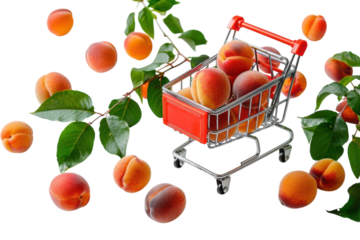 A vibrant shopping cart filled with fresh peaches surrounded by scattered fruit and green leaves on a bright surface isolated on transparent background
