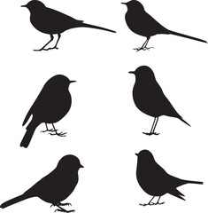 Collection of Small Bird Silhouettes – Songbird Vector Set
