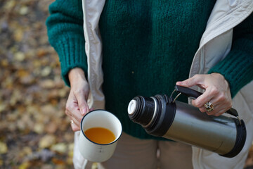 Picknic in the fairy beatiful forest in autumn