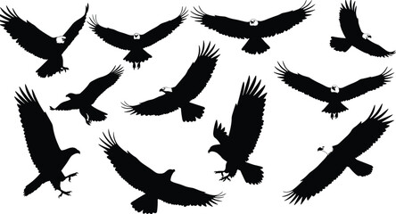 A powerful collection of American Bald Eagle silhouettes, capturing majestic flight poses, perfect for designs symbolizing freedom, strength, leadership, and the United States.