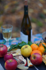 Picknic in the fairy beatiful forest in autumn