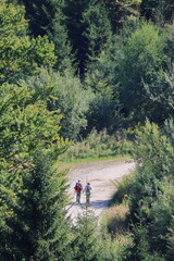Older couple walks on a hiking trail in the forest, senior activity, outdoor lifestyle, nature recreation