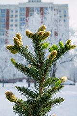 Fototapete bei efototapeten.de bestellen   