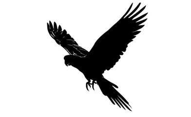 a black silhouette of a bird in flight, showcasing its wings spread widebird, black, crow, eagle, flight, fly, parrot, profile, raven, sky, spread, wing 