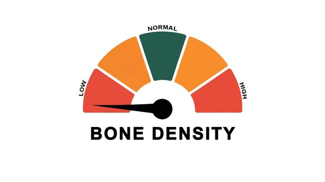 Animated bone density meter showing movement from low level to normal level, useful for osteoporosis, calcium health, and bone strength monitoring concepts.