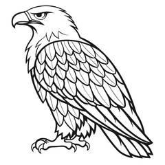 Majestic eagle perched with sharp gaze bird raptor