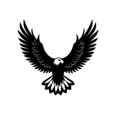 Obraz premium Eagle flying with open wings on transparent background silhouette