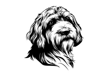 a black and white drawing of a dog's headblack, dog, head, illustration, image, portrait, white 