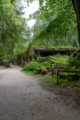 Abandoned military bunker in the forest on a sunny summer day, Wolf's Lair, Mazury, Poland 