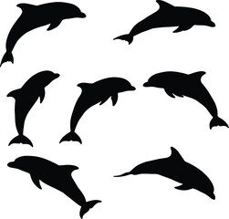 Dolphins in Minimalist Style